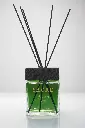 2024-06-17 Point Green SACRE 05323 L Verde intera.webp