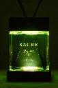 2024-06-17 Point Green SACRE 05344 xl-verde.webp